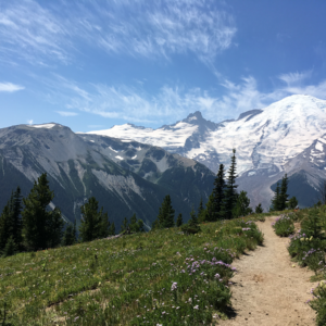 Dirt path across grassy field with mt rainer in the distance