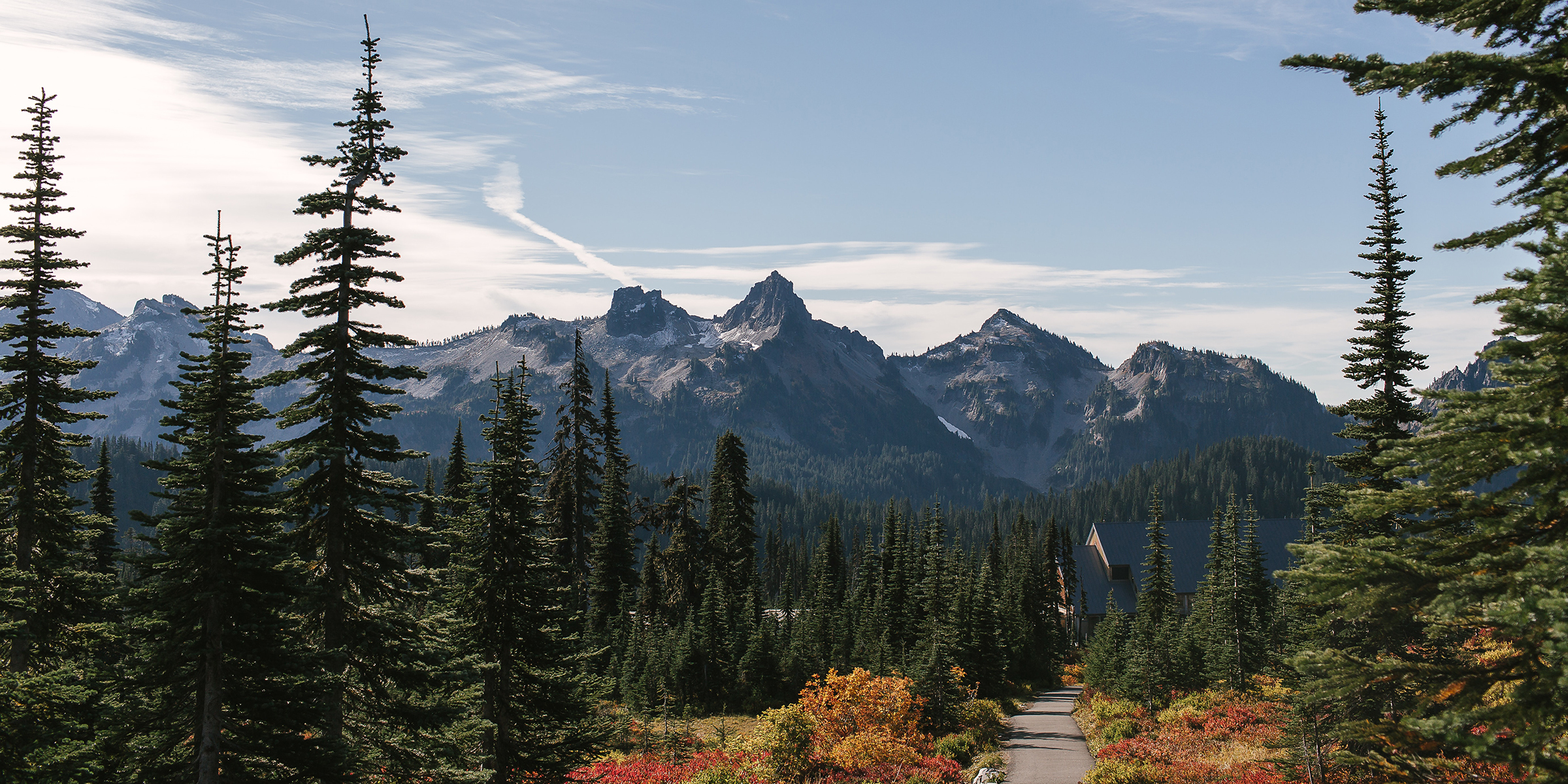 seattle day trips to mount rainier