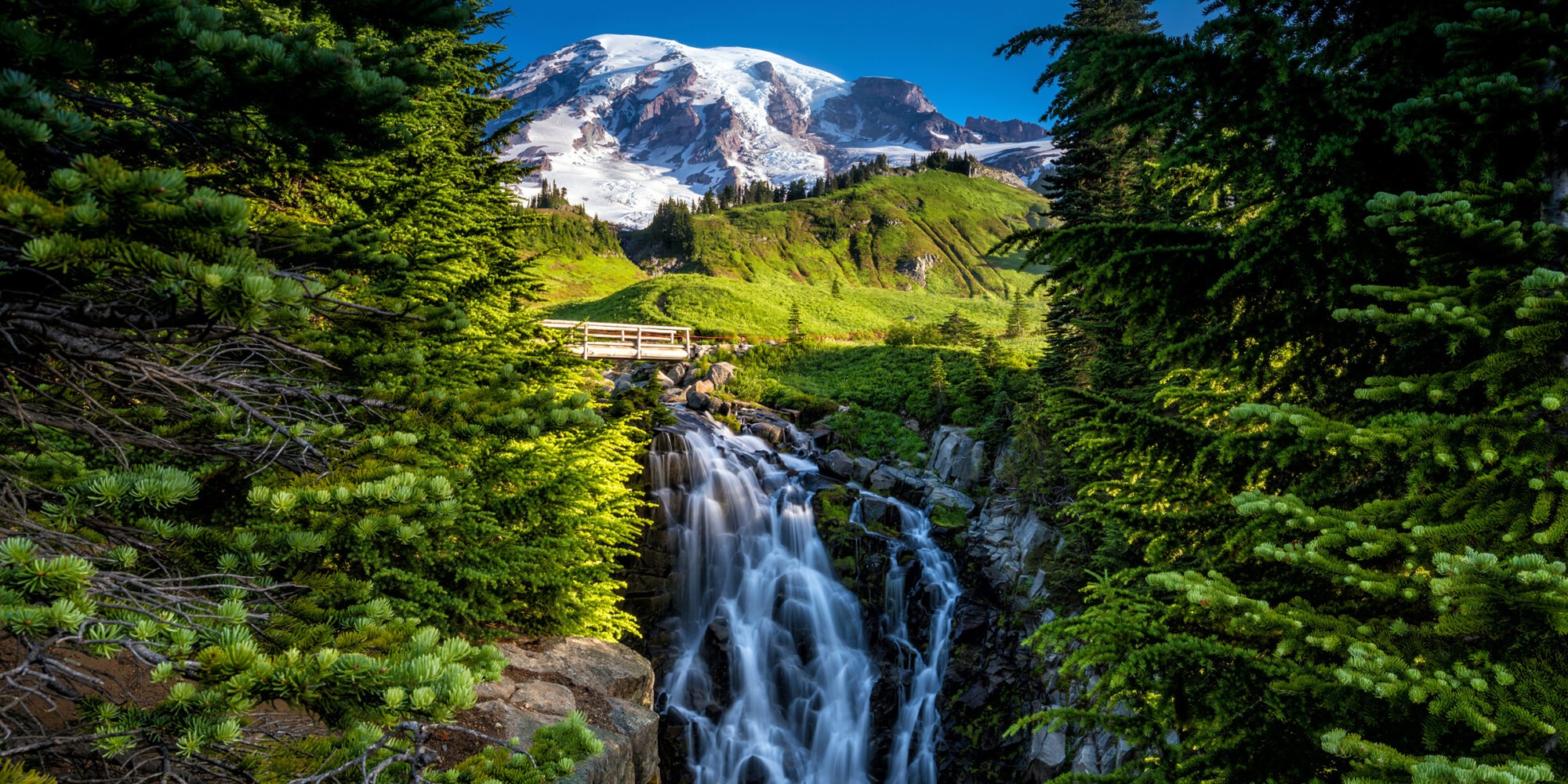 seattle day trips to mount rainier